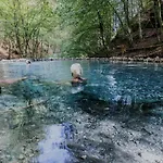 Panda In Der Naehe Von Therme Und Atrio