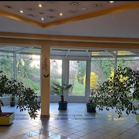 Panda In Der Naehe Von Therme Und Atrio * Villach