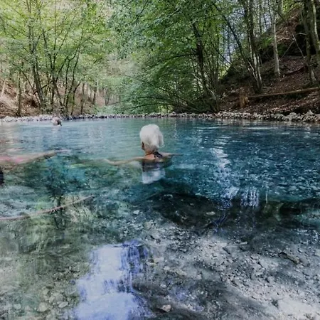 Panda In Der Naehe Von Therme Und Atrio