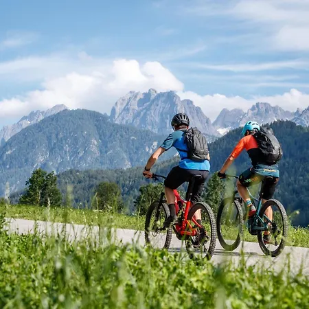 Panda In Der Naehe Von Therme Und Atrio Villach