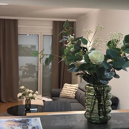 Appartement Panda In Der Naehe Von Therme Und Atrio Villach