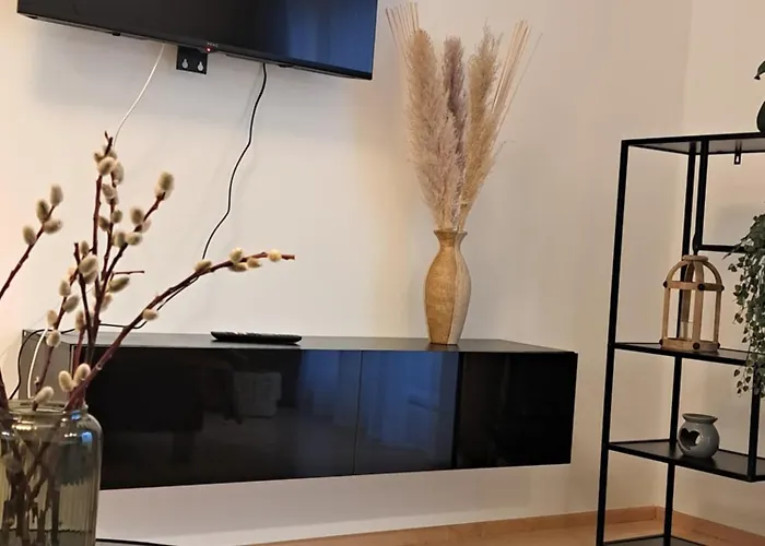 Appartement Panda In Der Naehe Von Therme Und Atrio Villach