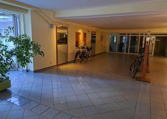 Panda In Der Naehe Von Therme Und Atrio