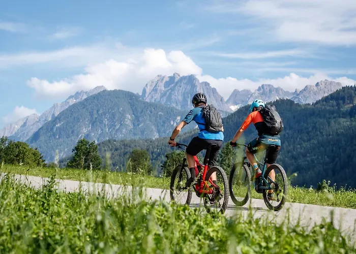 Panda In Der Naehe Von Therme Und Atrio Villach