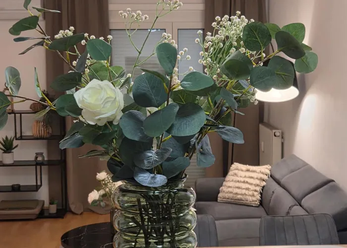 Panda In Der Naehe Von Therme Und Atrio *